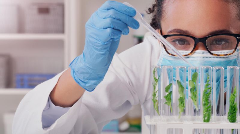 T&eacute;cnico em A&ccedil;&uacute;car e &Aacute;lcool